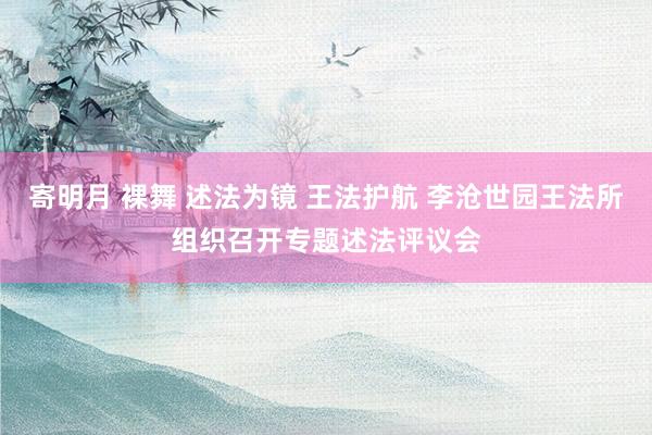 寄明月 裸舞 述法为镜 王法护航 李沧世园王法所组织召开专题述法评议会