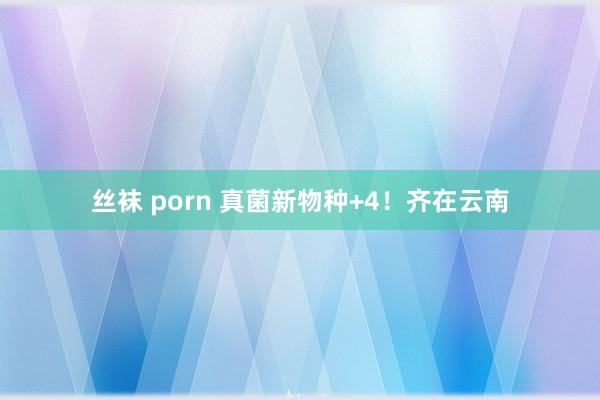 丝袜 porn 真菌新物种+4！齐在云南