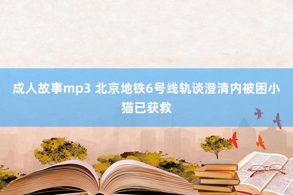 成人故事mp3 北京地铁6号线轨谈澄清内被困小猫已获救