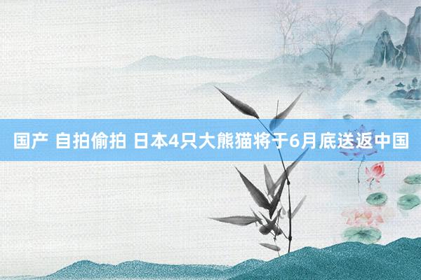 国产 自拍偷拍 日本4只大熊猫将于6月底送返中国